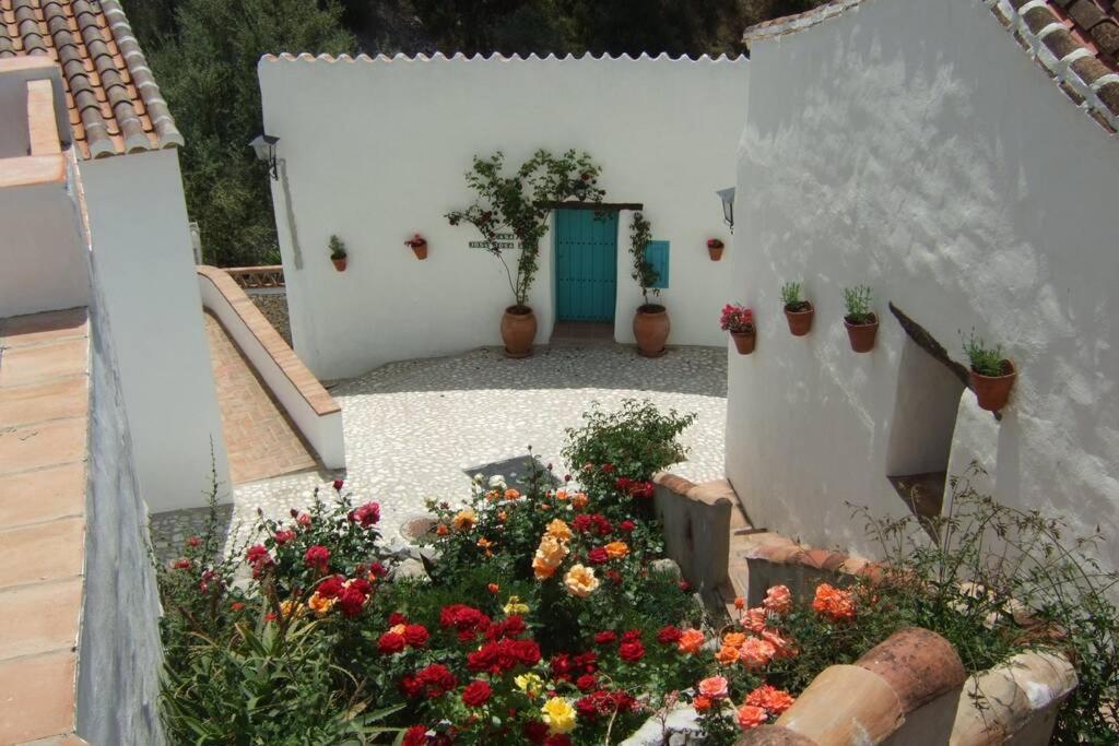 Casa Rosa, Con Encanto Y Piscina Climatizada Frigiliana Dış mekan fotoğraf